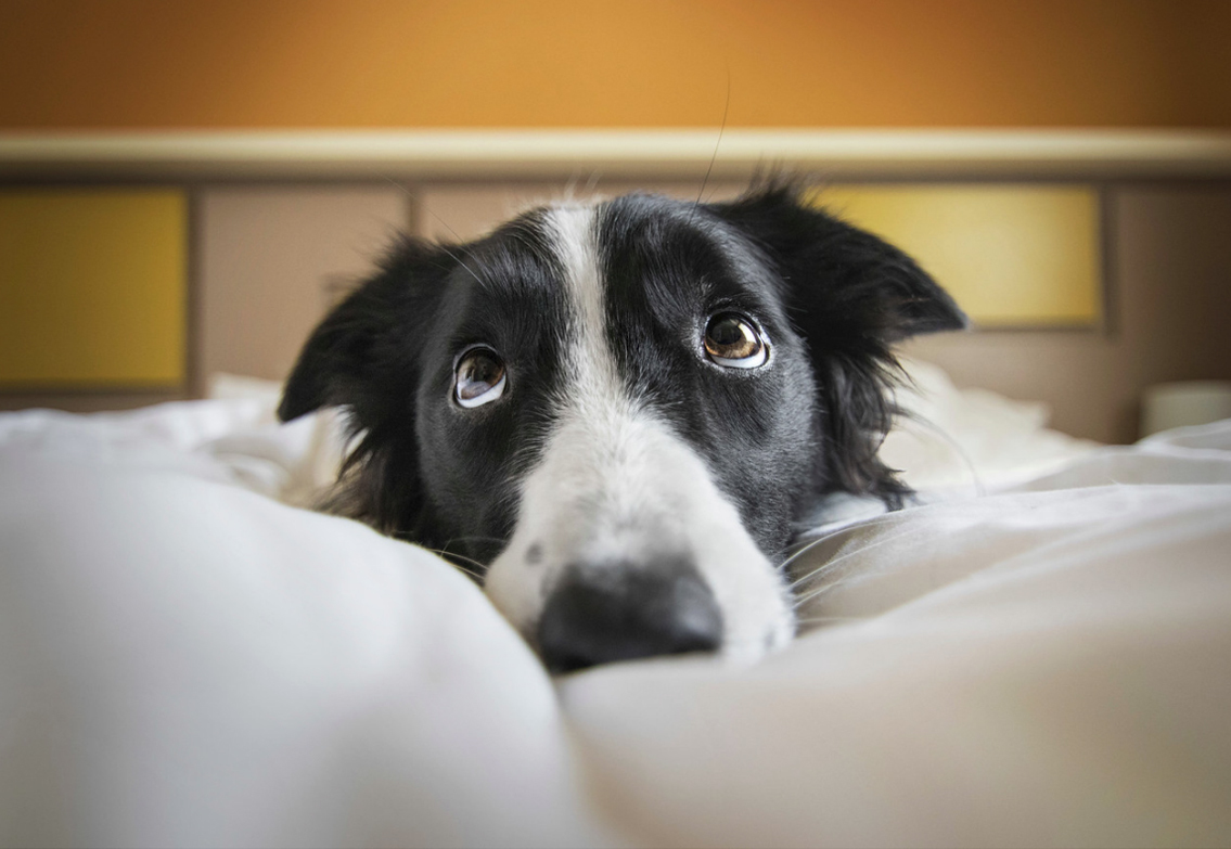 Gombos Luca - Peace and quiet