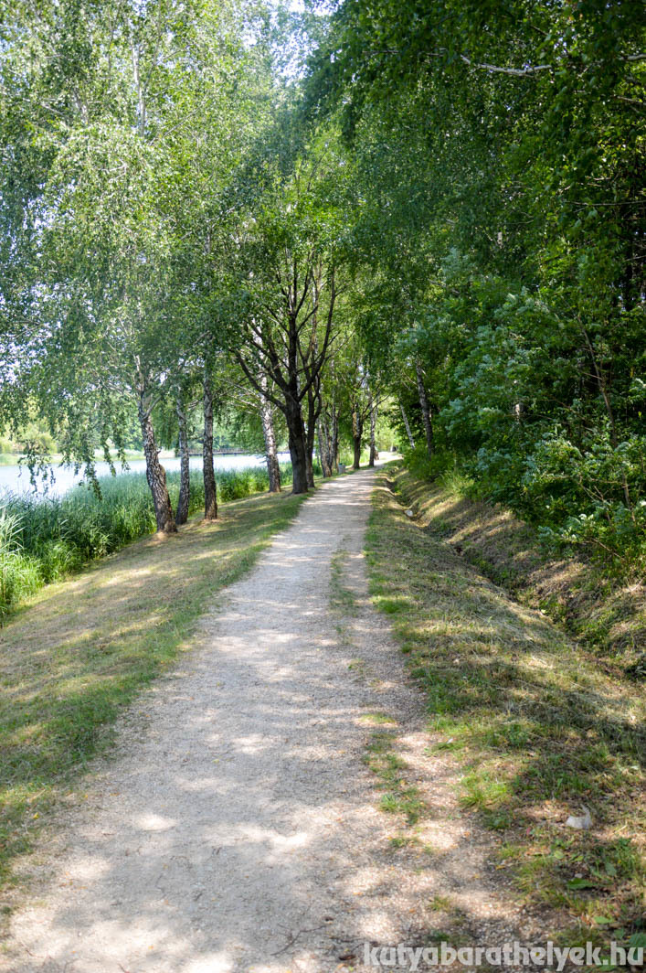 Árnyékos út vezet a strand felé