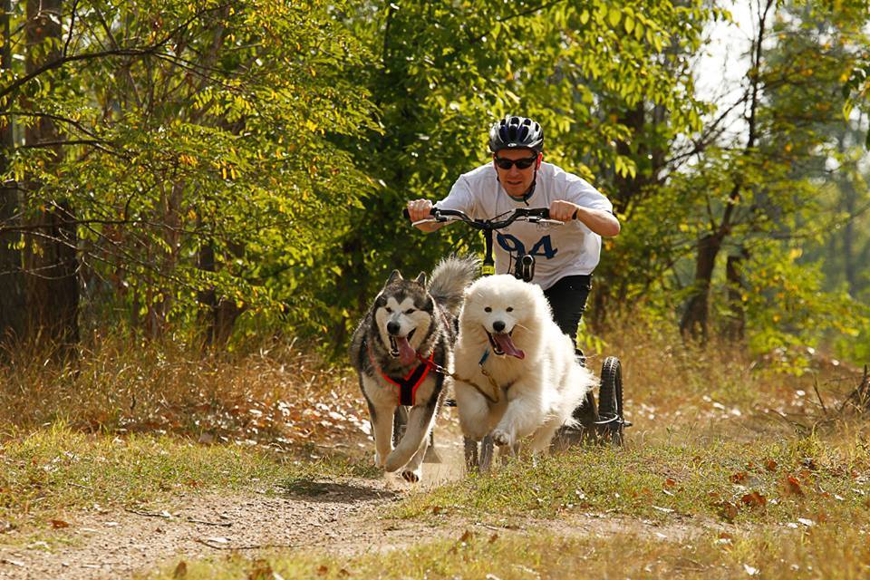 Különböző versenyszámokban indulhatnak a sportolók