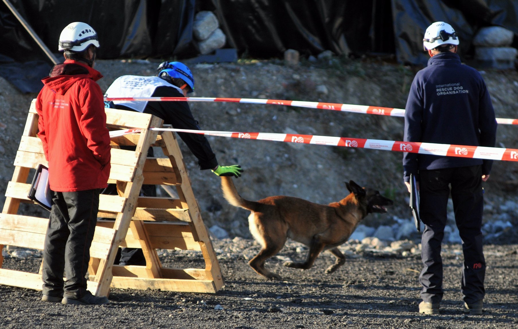 Zen volt a legjobb a romkutatásban
