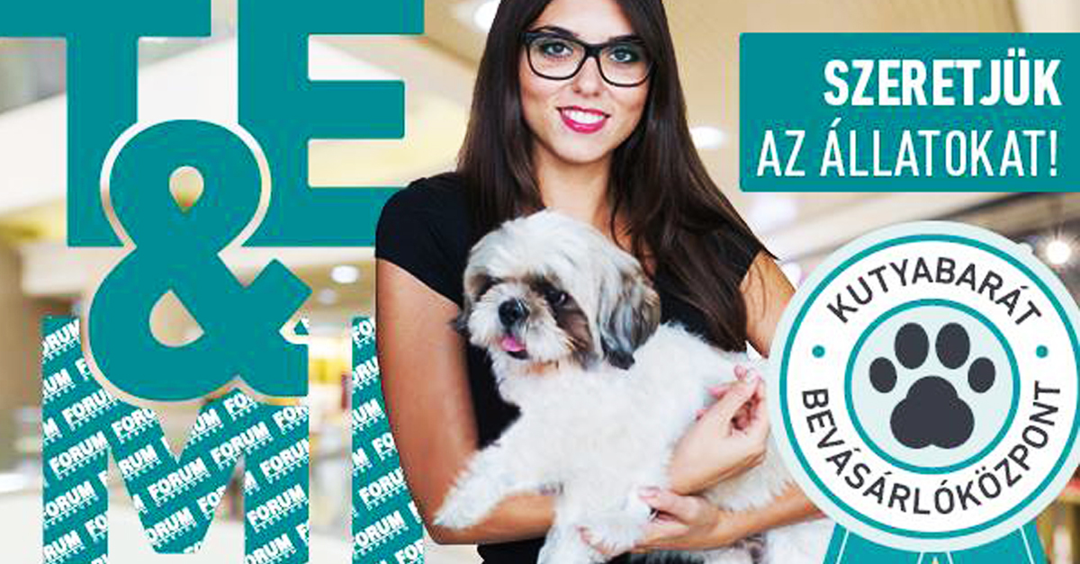 Kutyabaráttá vált a Fórum Debrecen