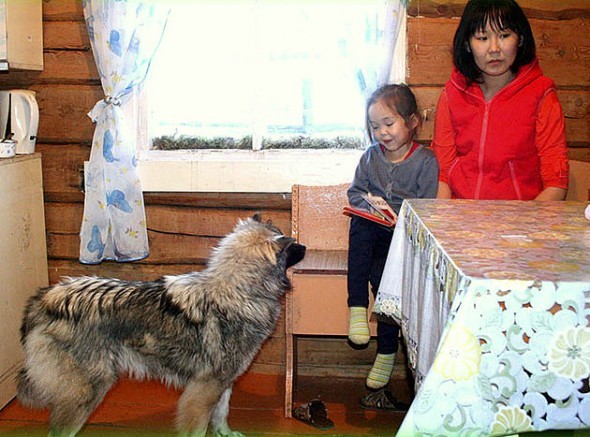 Karina, a nagymamája, és Naida