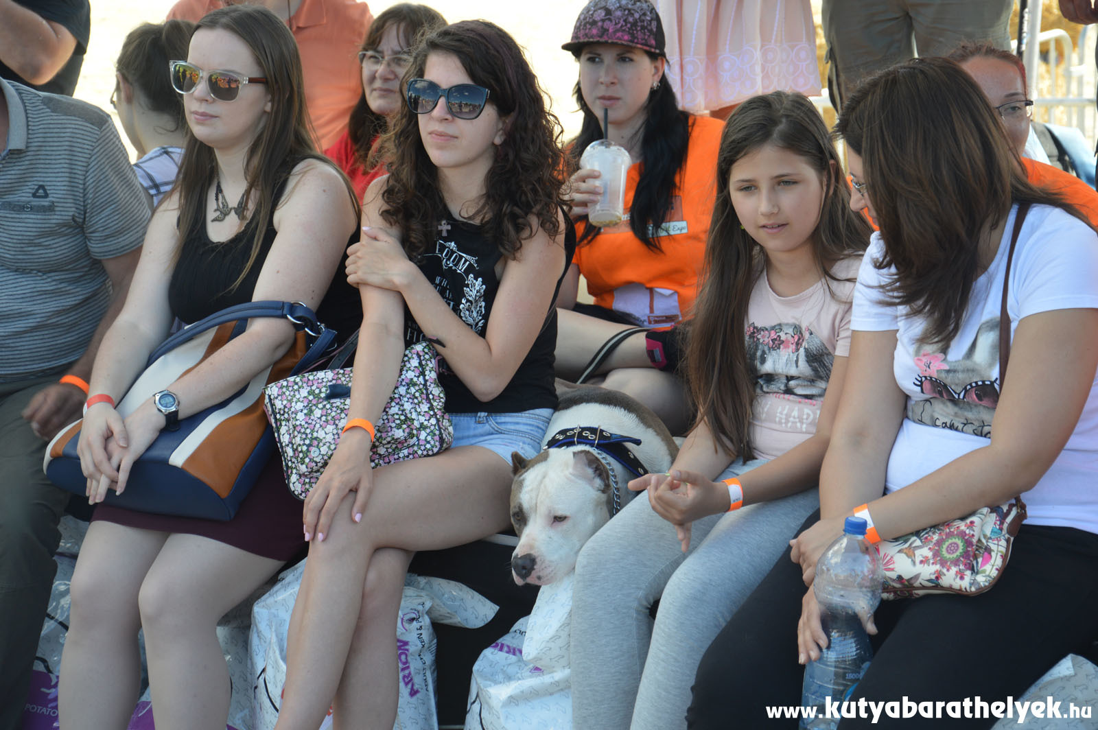 Első alkalommal került megrendezésre a budapesti PetExpo