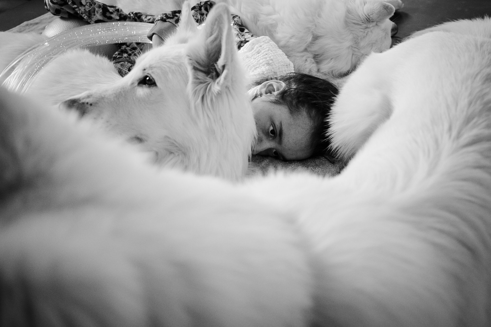 Cséfalvay Á. András - Kutyaterápia 