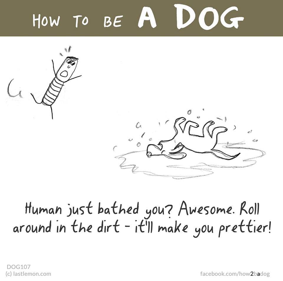 hemperegj meg a koszban! hemperegj meg a koszban!