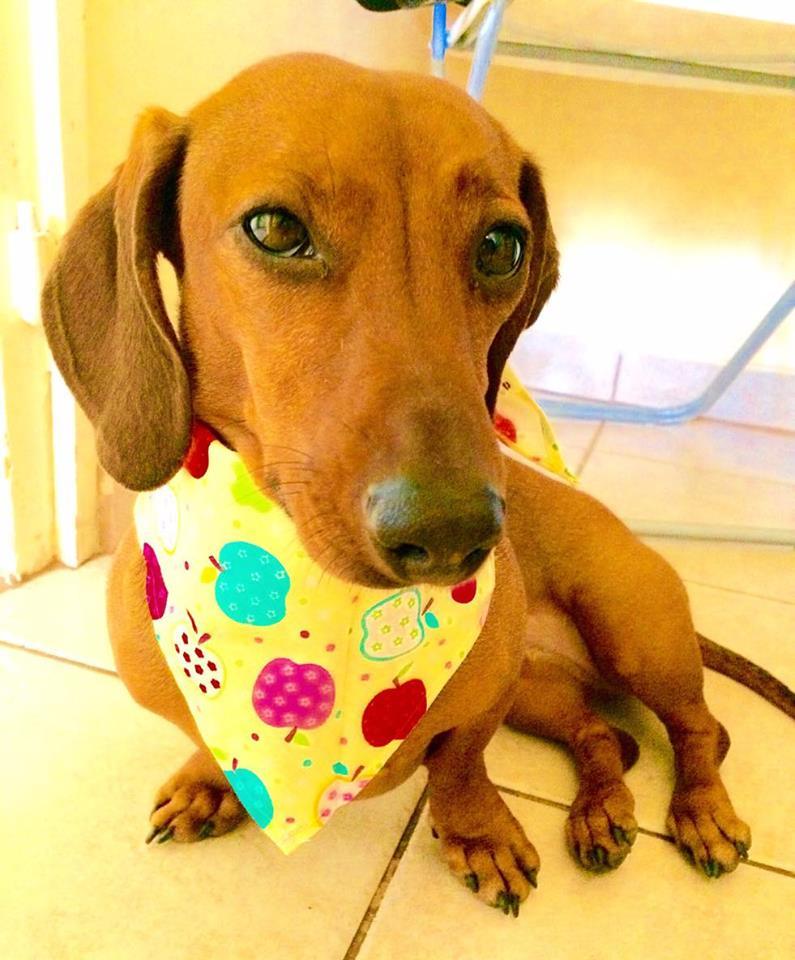 Színes kendő lesz szinte minden tacsin - igazi majális hangulat várható