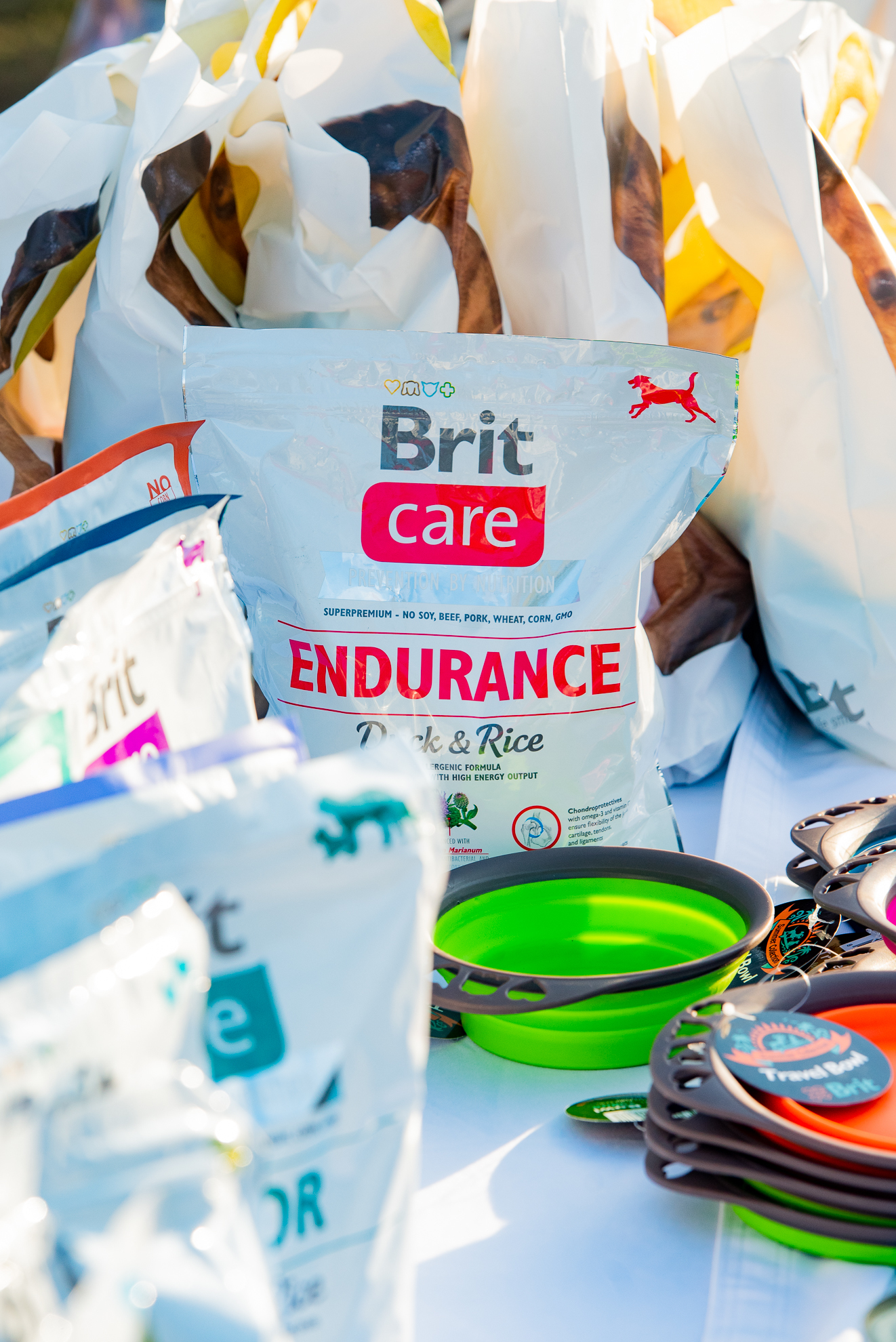 A Brit Petfood széles termékkínálatában az érzékenységgel küzdő kutyák számára is találhat a gazdi megfelelőt