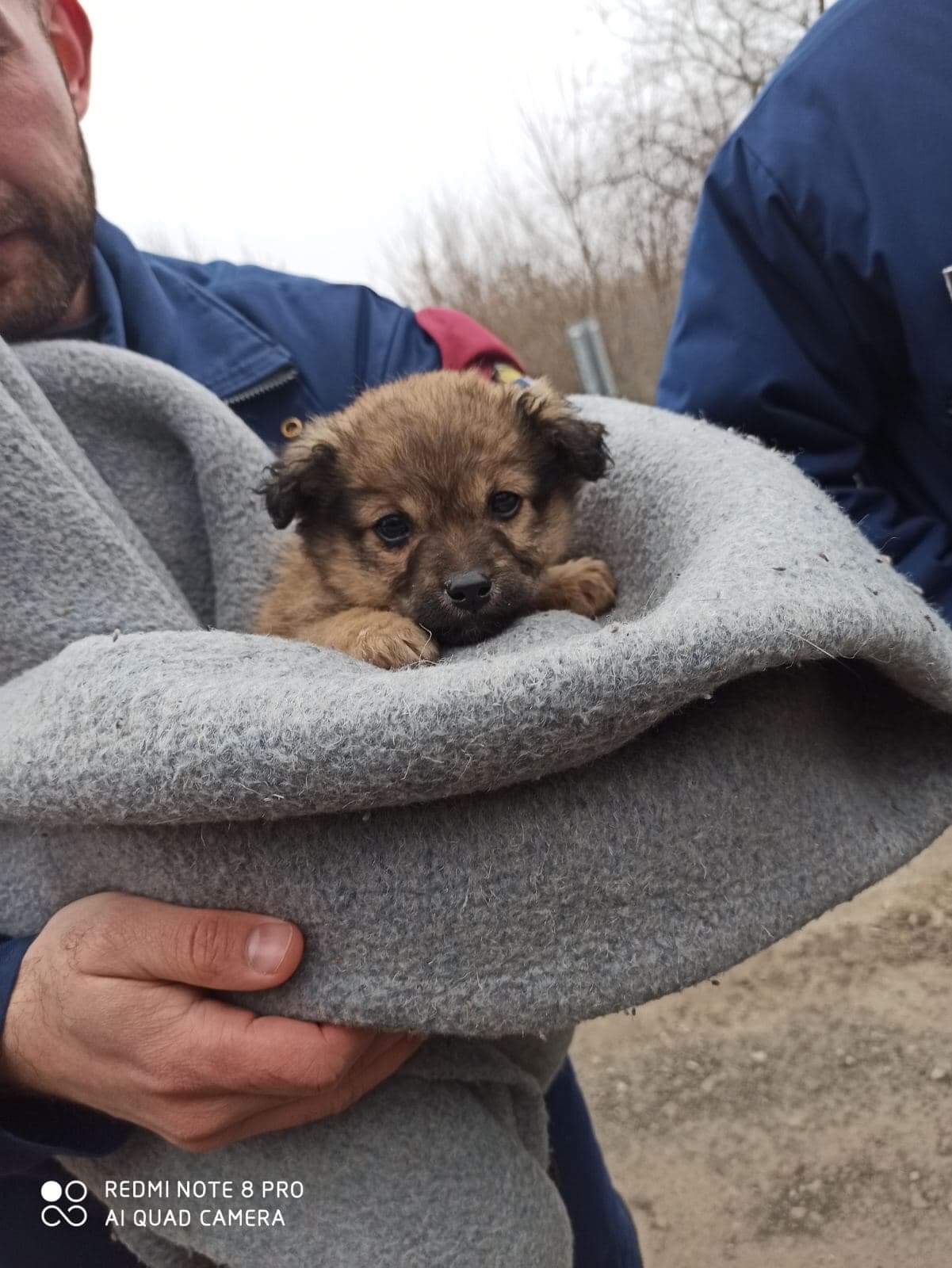 A kölyköket pokrócba bugyolálva melegítették fel