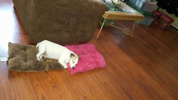 Mr. Davidson új otthonában 