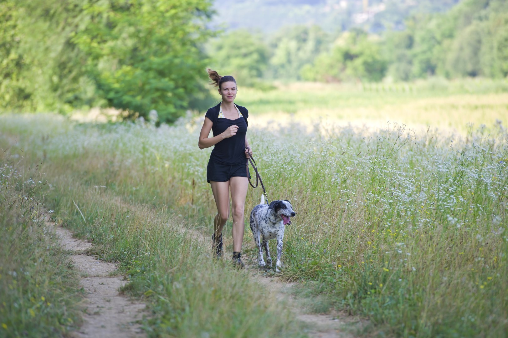 Nagyon sok múlik azon, mennyit mozog a kutya!