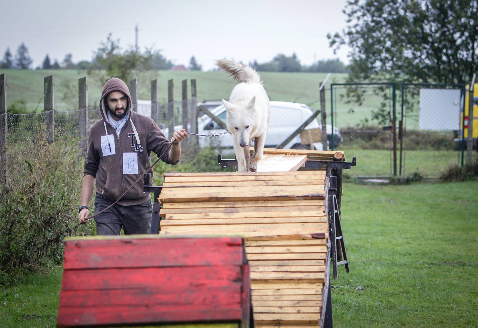 Egy kis eső meg se kottyan a kutyáknak - a gazdik pedig elővették a gumicsizmáikat