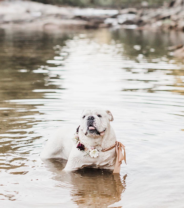 Sallang, esküvői díszek ide vagy oda... az életet élvezni kell