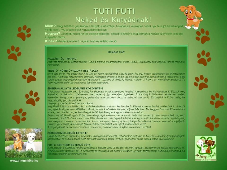 Tuti Futi - a kutyafuttatók házirendje