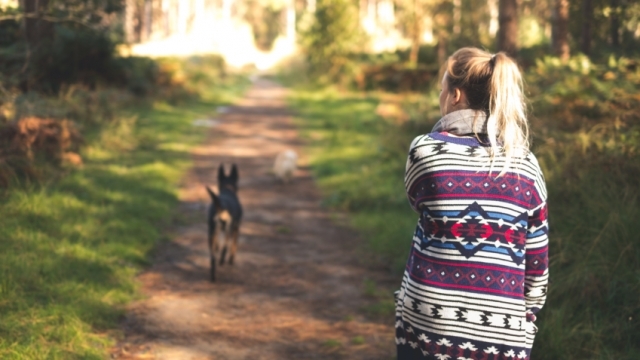 Az új ingerekre nagy szüksége van a kutyáknak