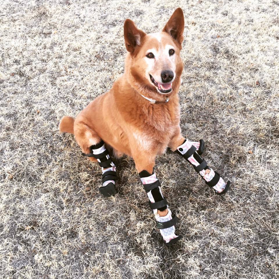 Naki o végre teljesen szabadon mozoghat