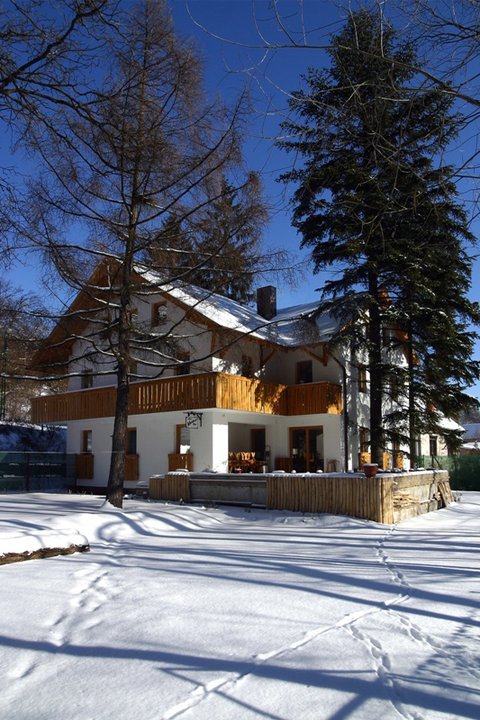 A kutyabarát Öko-Park Panzió parkjában óriási helye van a kutyáknak is a játékra