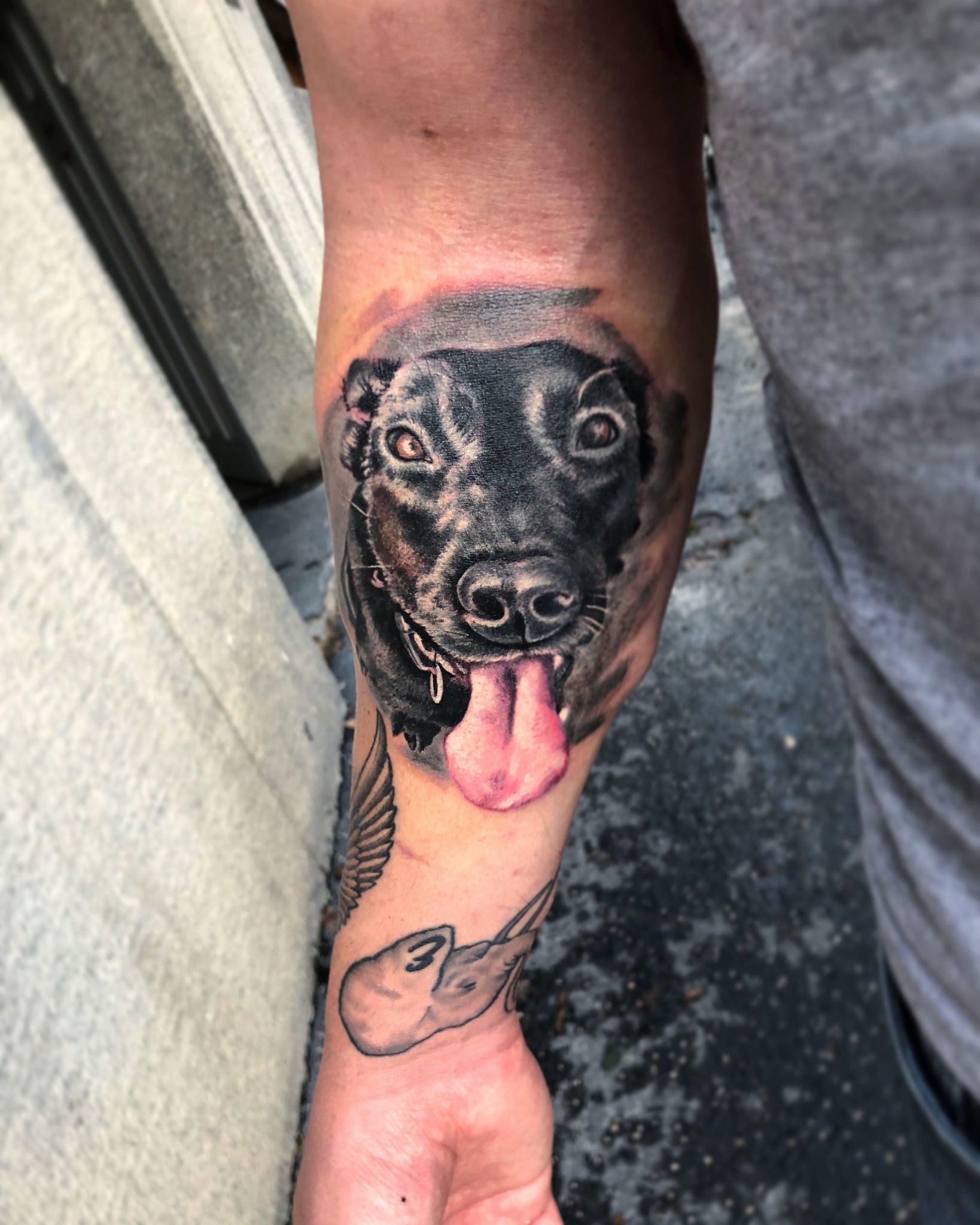 Sok gazdi szeretné kedvencének képét magára tetováltatni