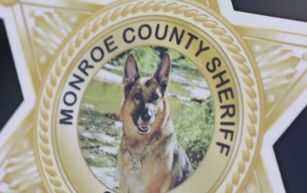 A rendőrkutya képe a sheriff-csillagban