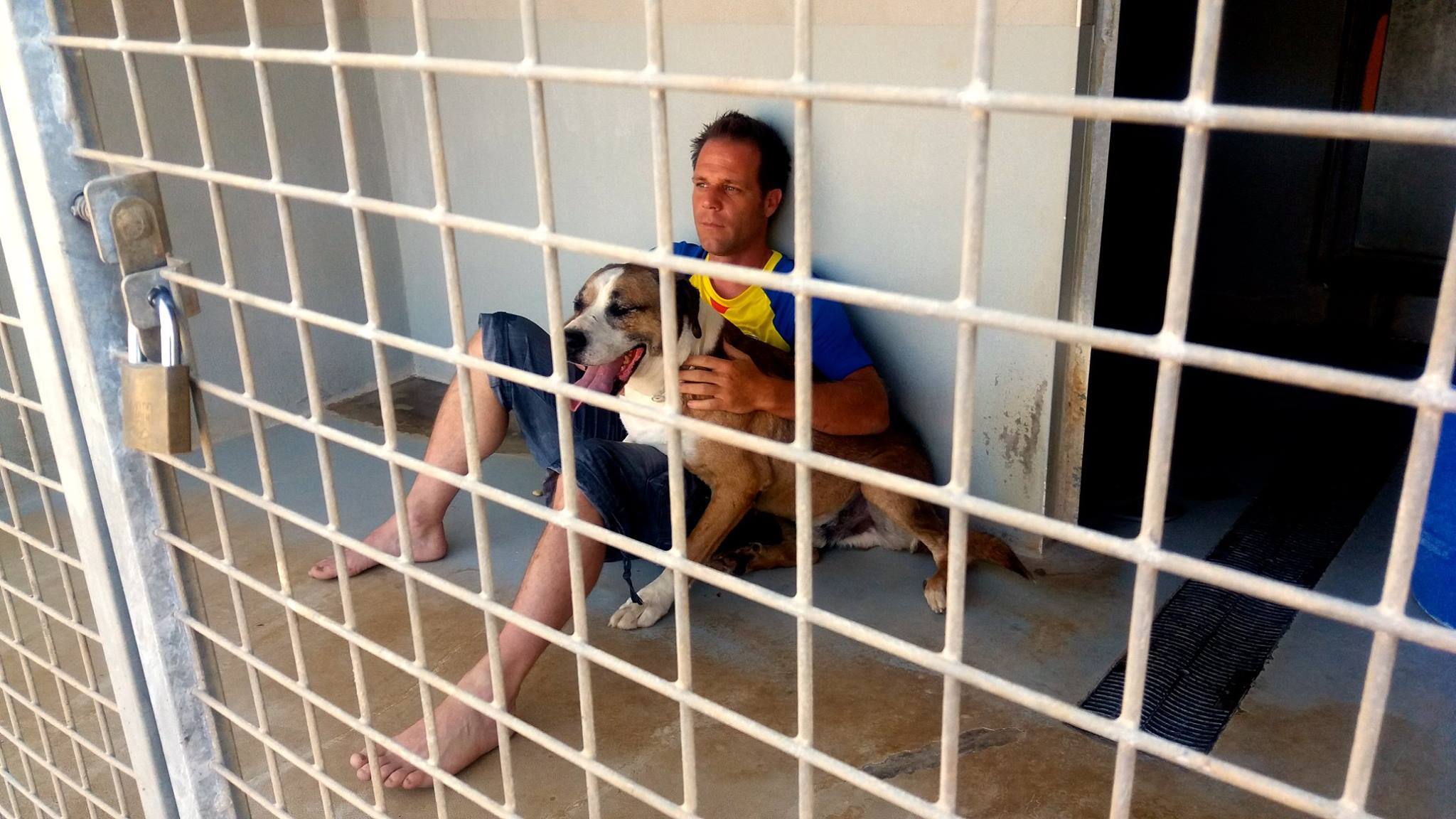 Rémi Gaillard egy korábbi fotóján - szintén egy menhelyen