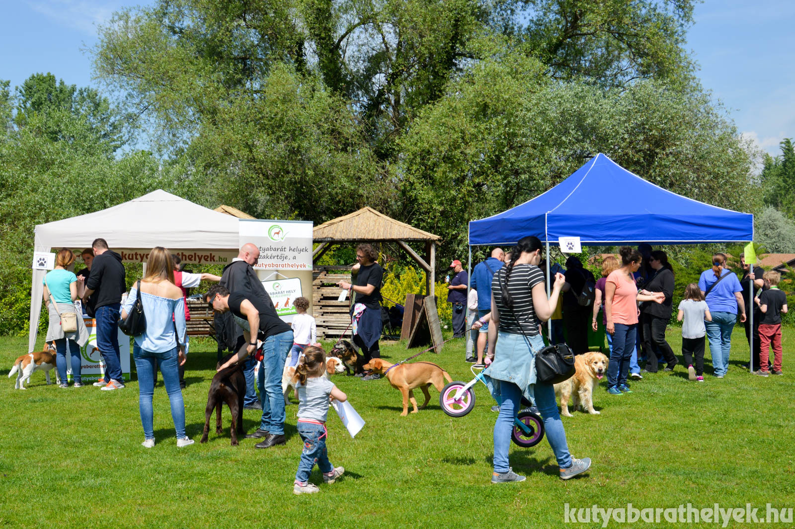 Kicsik és nagyok, gazdik és leendő gazdik is megismerhették a Felelős Állattartás elveit