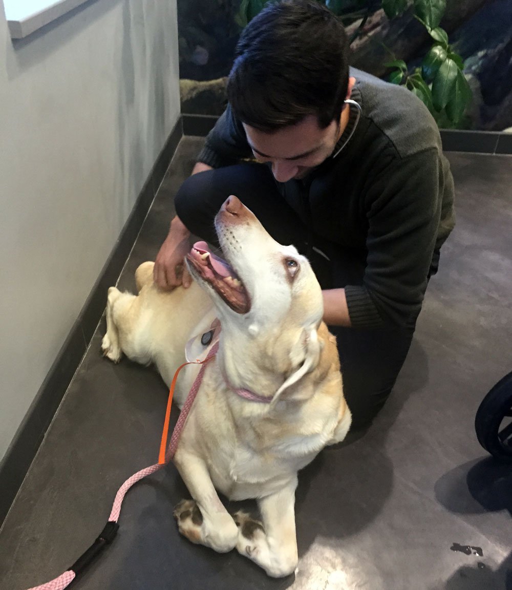 Orvosi segítséget is kapnak a befogadók