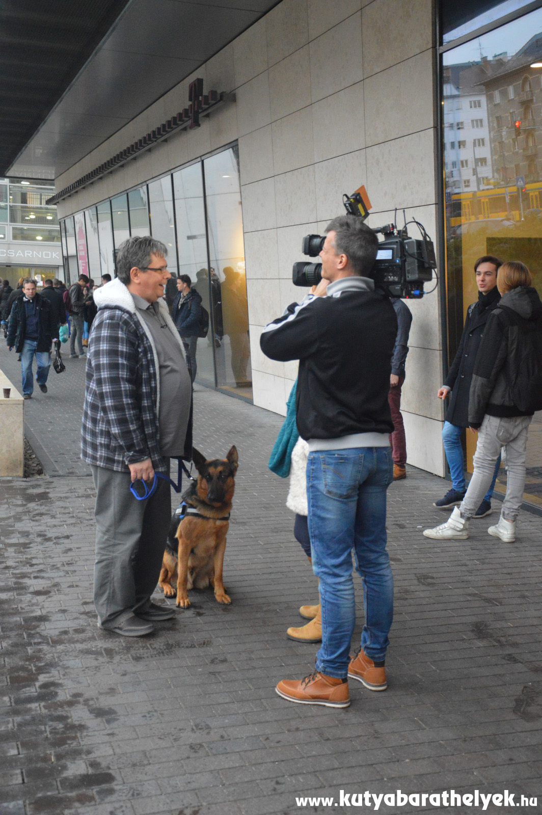 Rex az RTL Klub kamerái előtt is nyugodt maradt