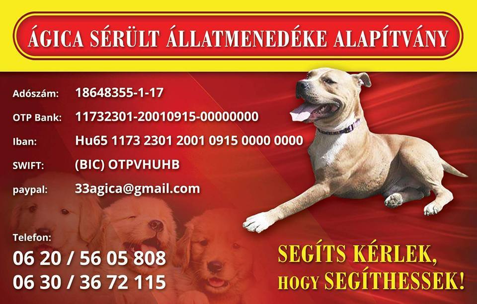 Ágica Sérült Állatmenedéke Alapítvány Ágica Sérült Állatmenedéke Alapítvány
