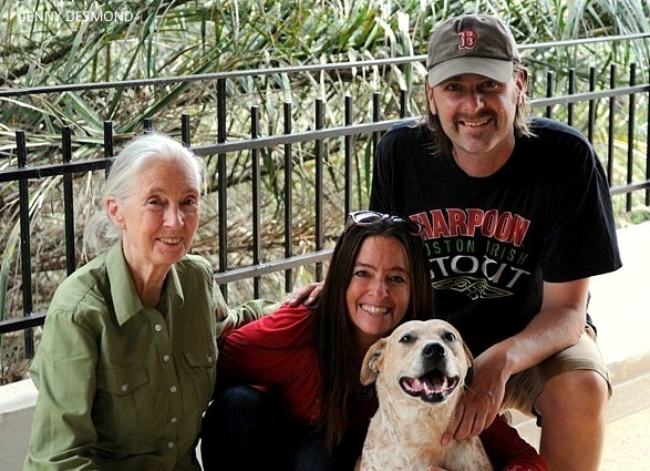 Dr. Jane Goodall, Jenny és Jimmy Desmond és Princess
