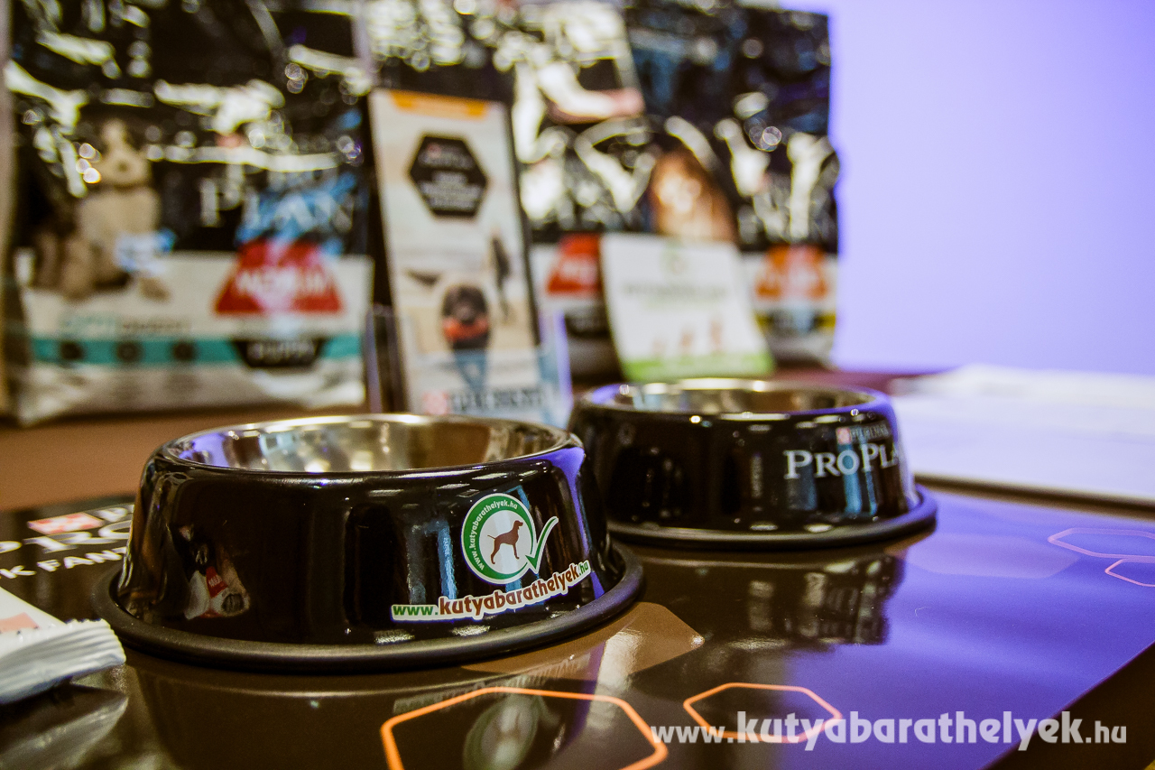 A Kutyabarathelyek.hu és a Purina induló csomagja a minősített kutyabarát szállások számára