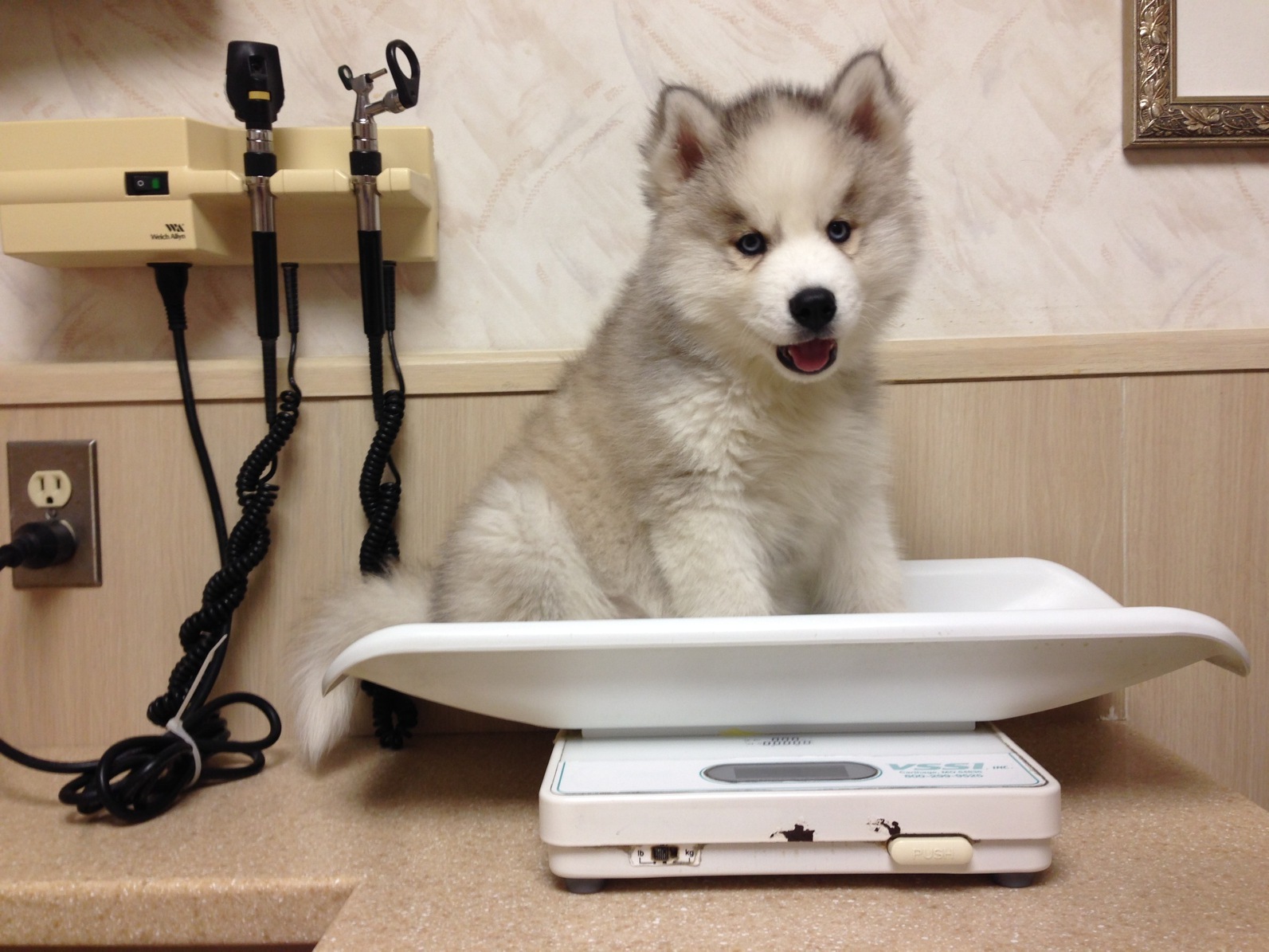 Az első élmény meghatározó