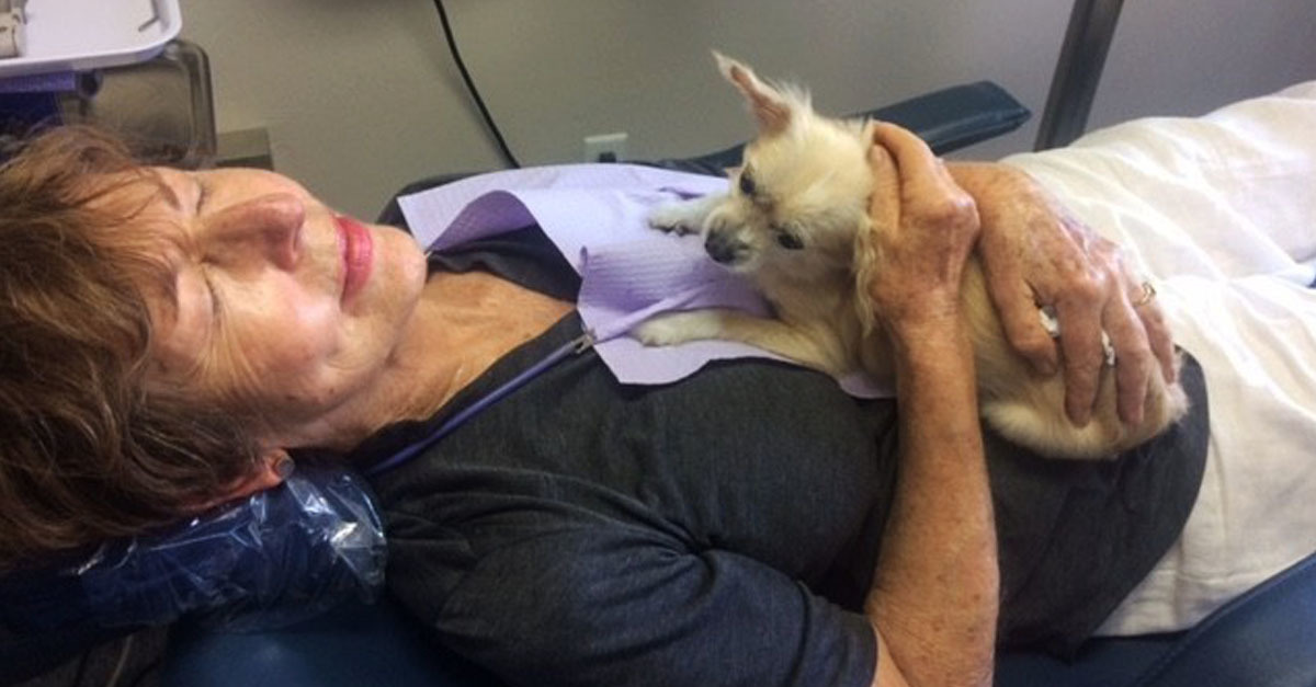 Karma kutya óriási segítséget jelent a rendelőben