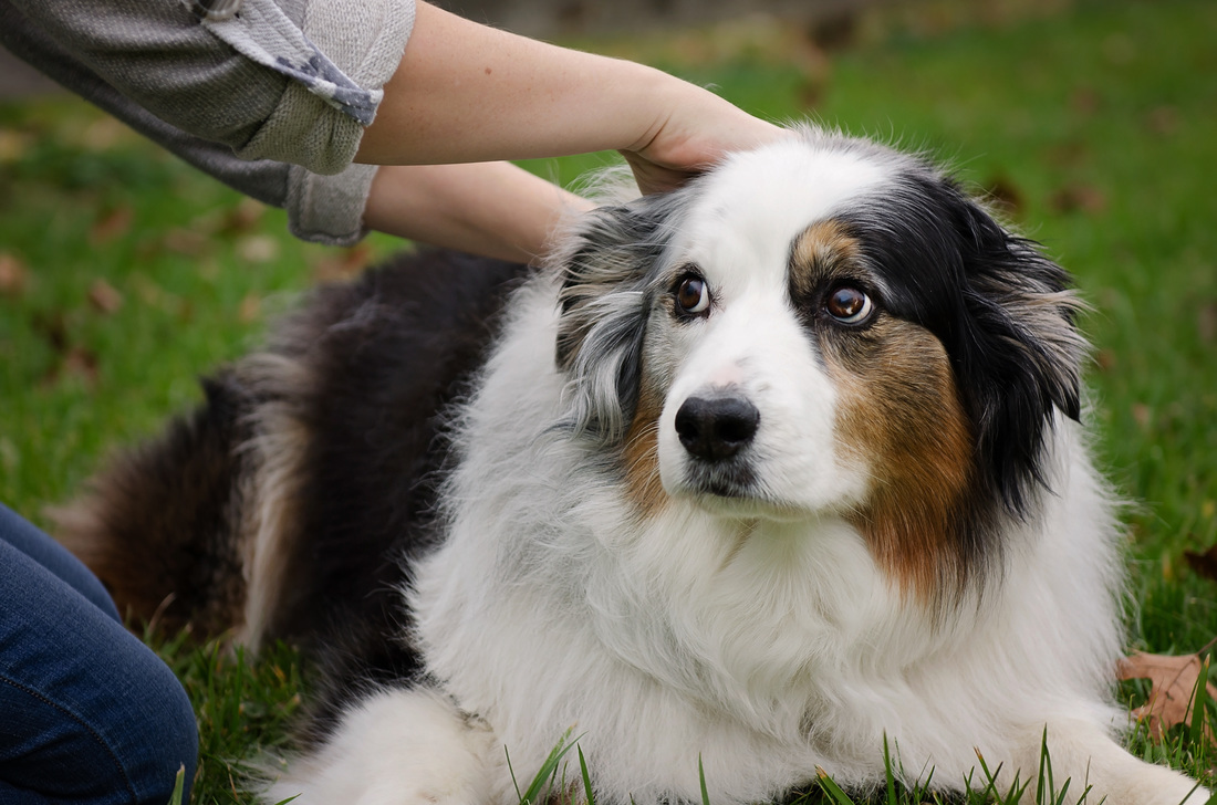 A szemek is beszédesek