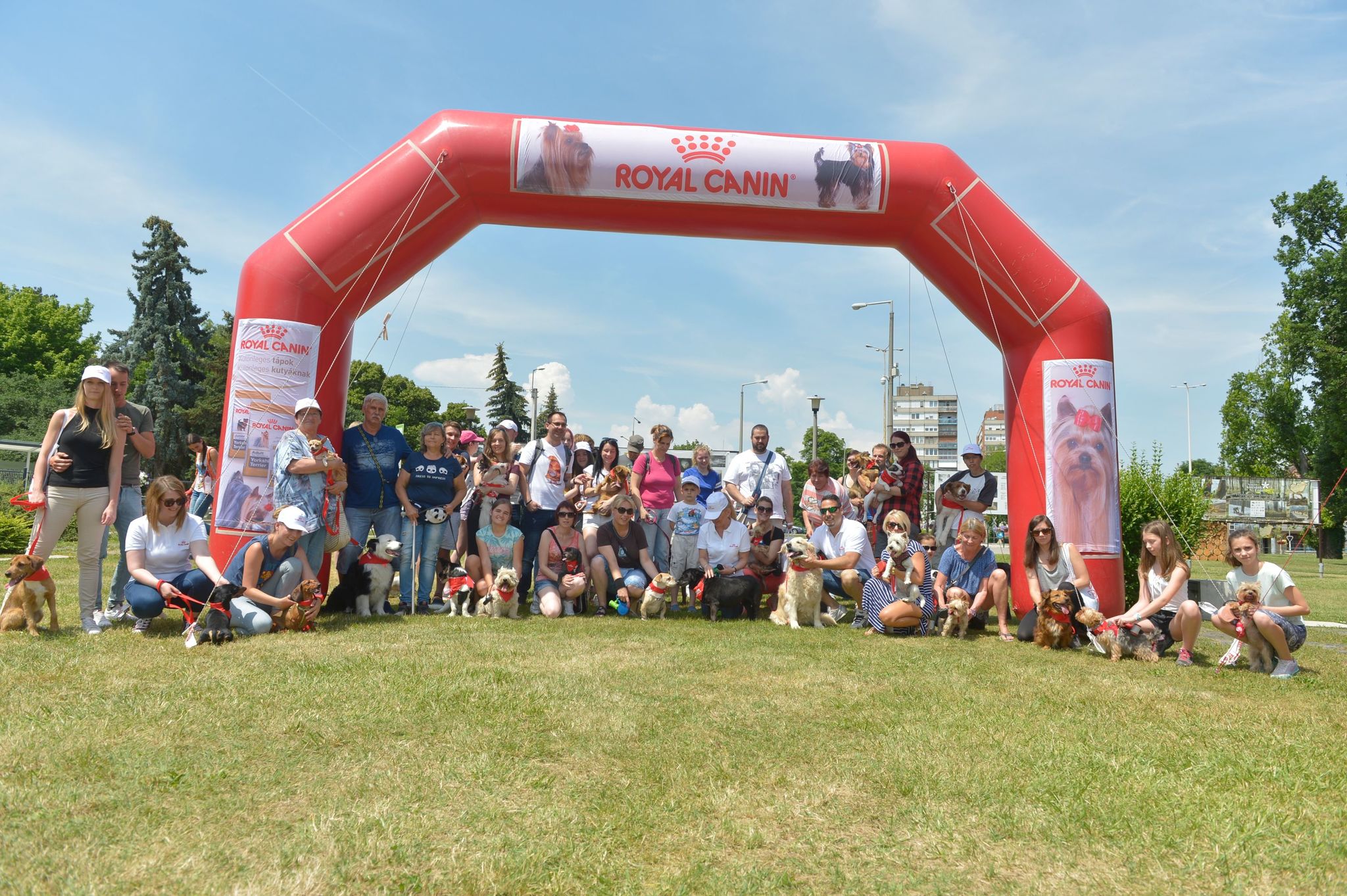 Royal Canin Dogwalk - közös kutyaséta