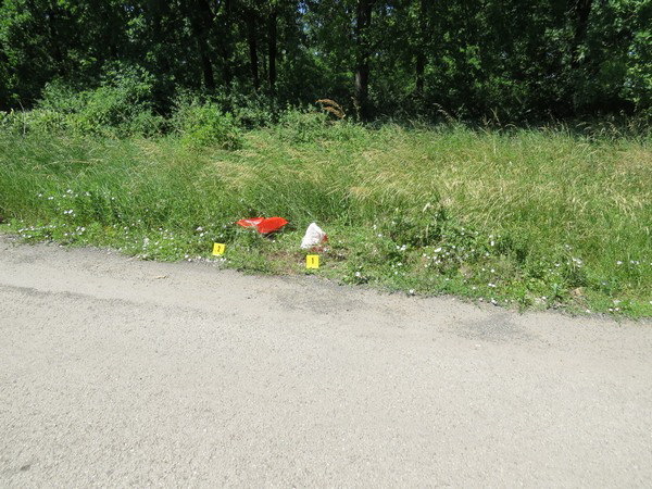 Szemét az út szélén: ki gondolná, hogy újszülött kölyökkutyákat rejtenek a zacskók?