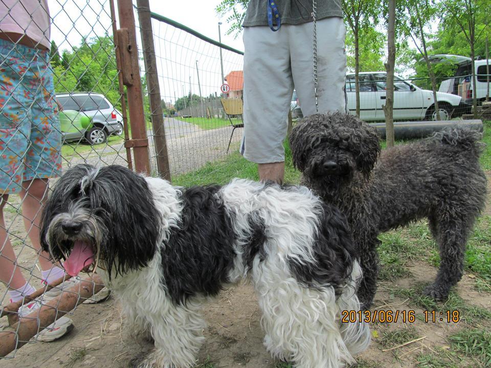 Pötyi és Marci Pötyi és Marci