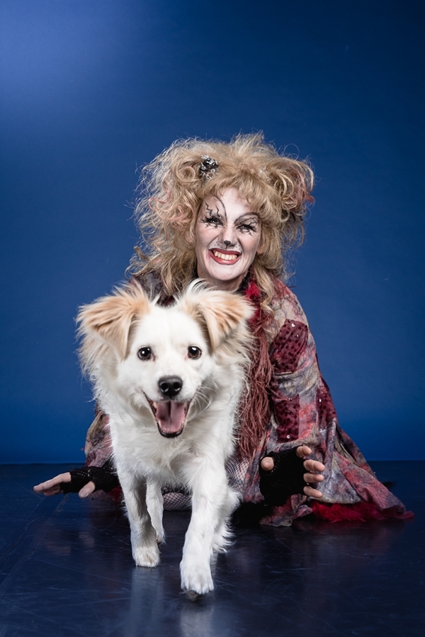 Macskák segítenek az árva kutyáknak - színészek pózoltak a menhelyi kutyákkal - 5