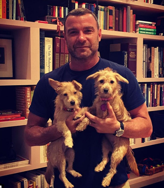 A színész és kisfiai lesznek a hurrikánt túlélt kutyusok új gazdái