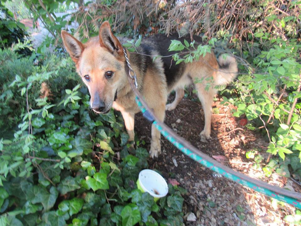 Linda mindössze pár kilométerre volt az otthonától