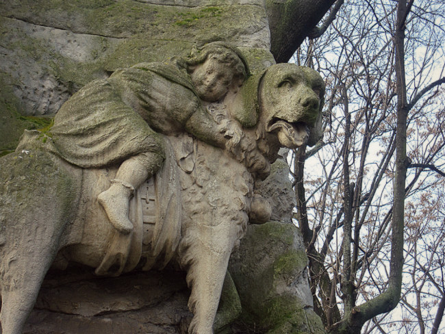 Barry, a hős bernáthegyi 40 ember életét mentette meg egy hóviharban