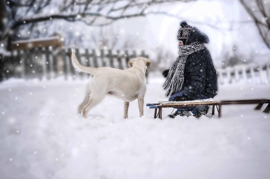 Egy kisfiú és a kutyája 9