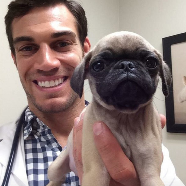 Az állatorvos és egy kis páciens