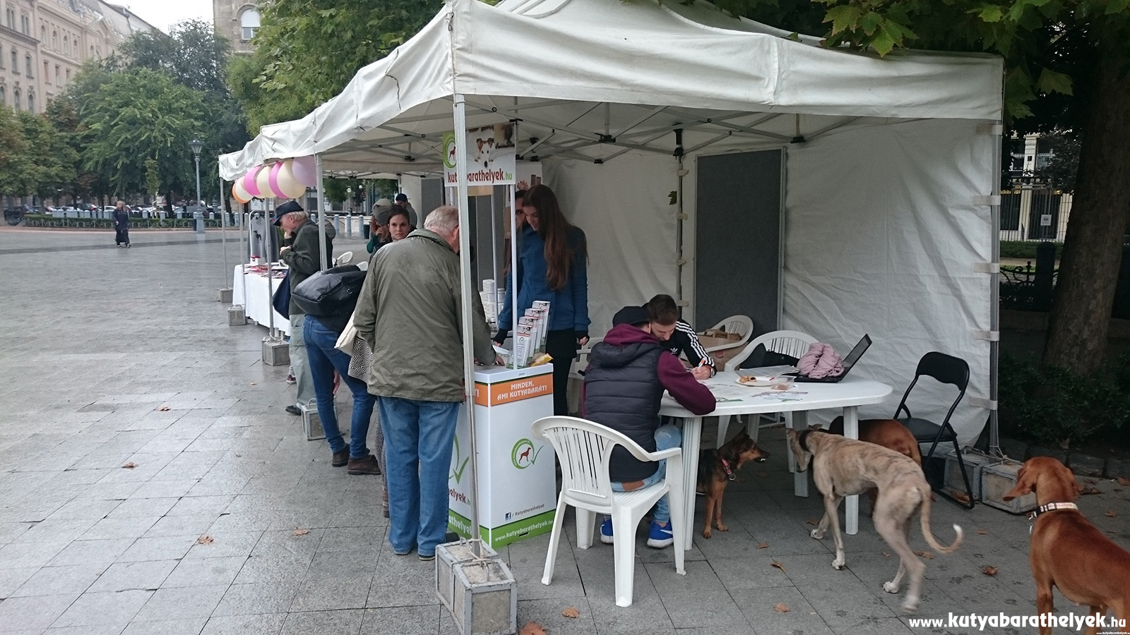 A szemerkélő eső sem tántoríthatta el a kutyásokat