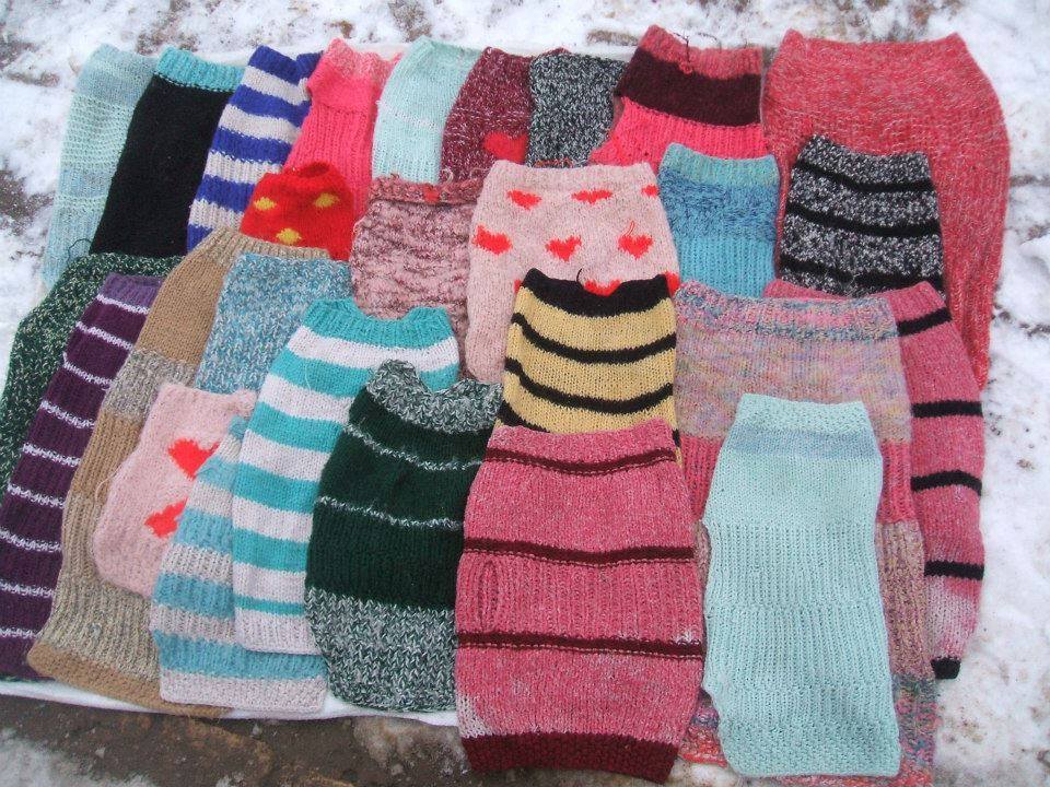 A pulcsik vidám színei figyelemfelkeltők lehetnek a leendő gazdik számára