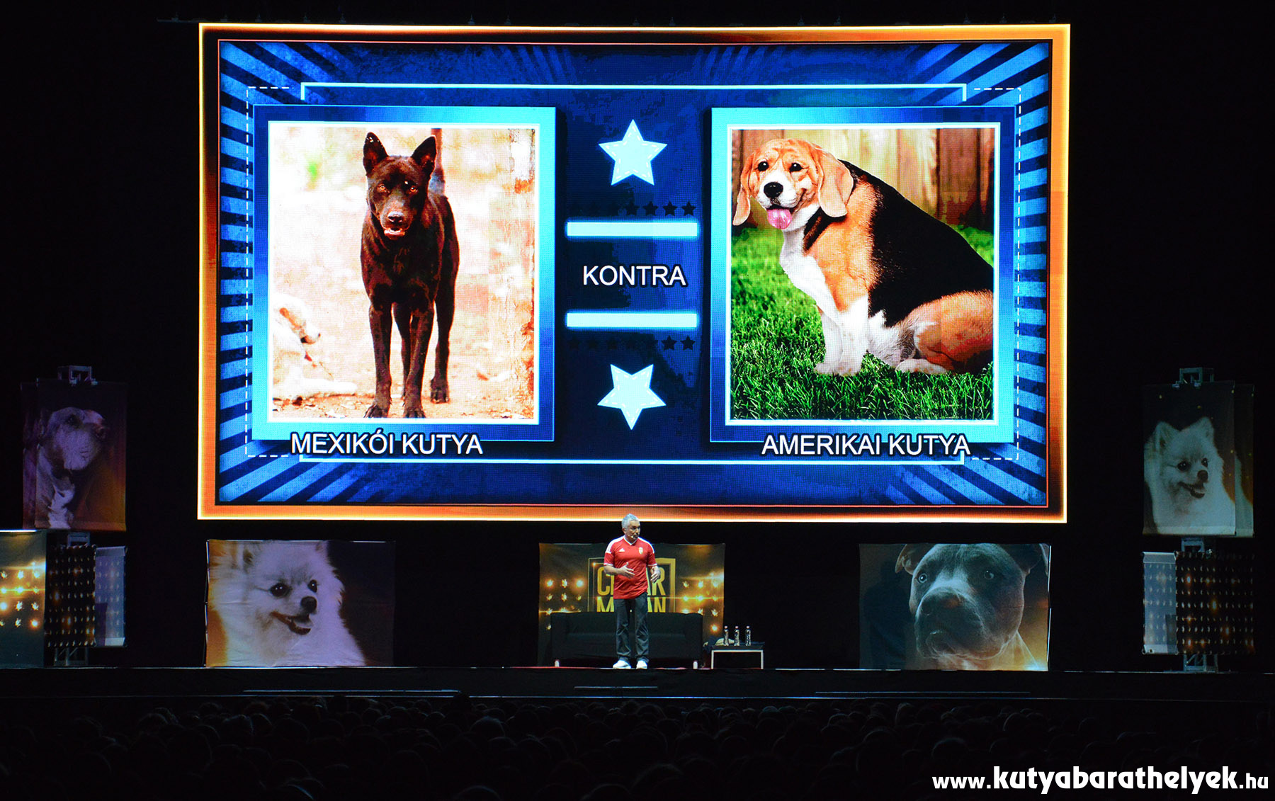 Cesar Millan Live Budapest - Mexikói vs. amerikai kutyák
