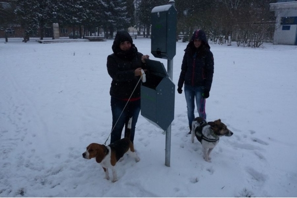 Nagykanizsán jelentős fejlesztések zajlanak a kulturált állattartásért