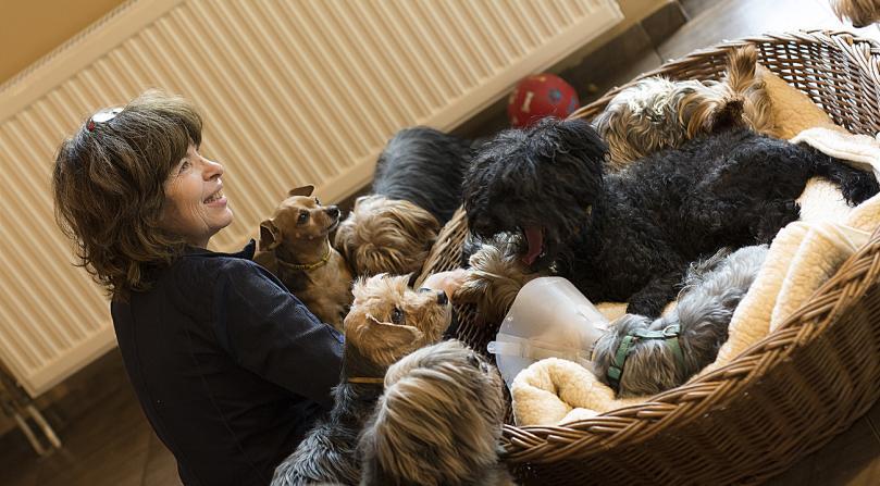 Takács Katalin állatmentő