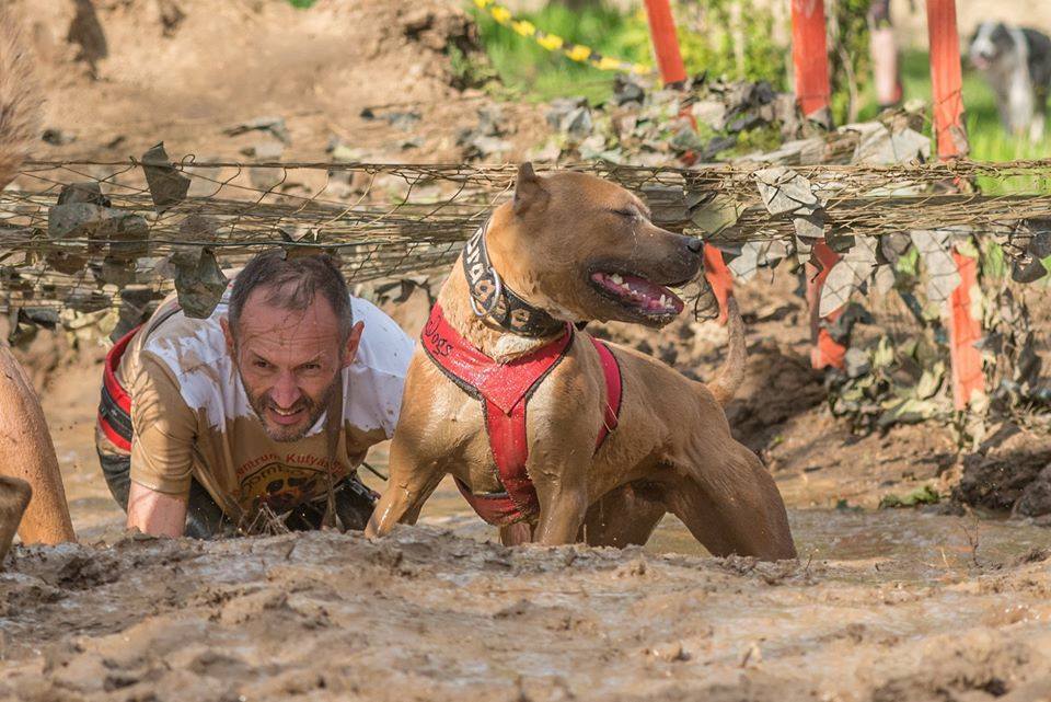 Se cipő, se kutya, se gazdi nem marad tiszta!