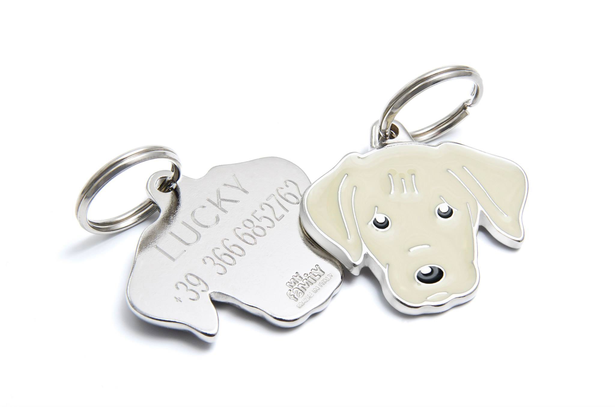 Gravírozott biléta - névvel, és a gazdi telefonszámával