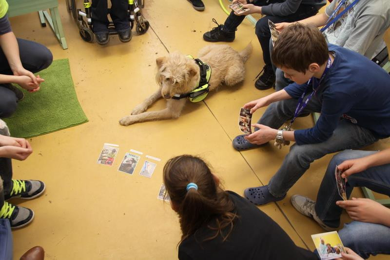 Iskolai érzékenyítő program a NEO Magyar Segítőkutya Egyesülettel