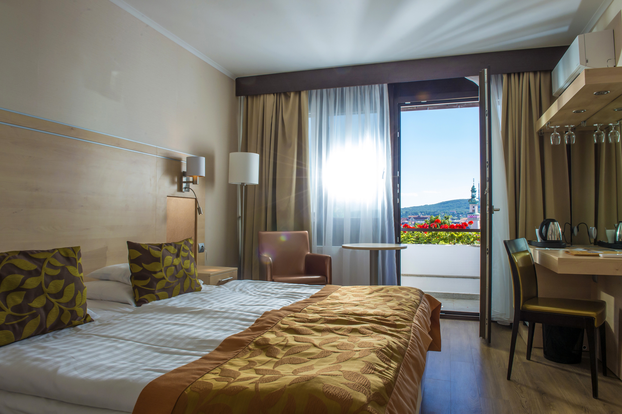 Kilátás a kutyabarát Hotel Sopronból